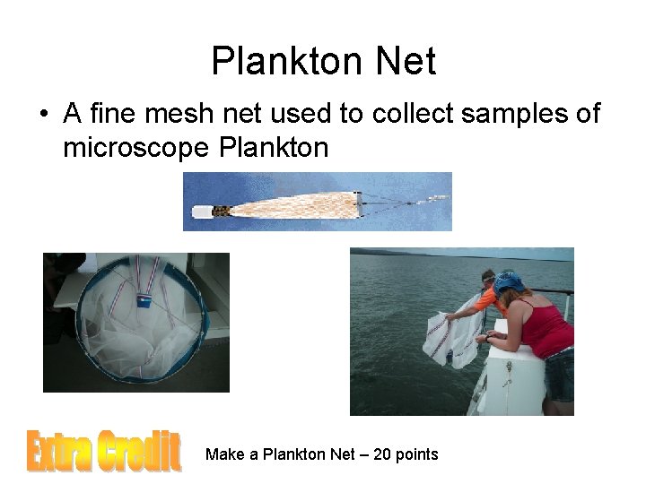 Plankton Net • A fine mesh net used to collect samples of microscope Plankton