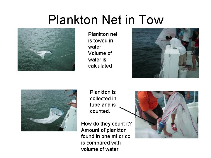 Plankton Net in Tow Plankton net is towed in water. Volume of water is