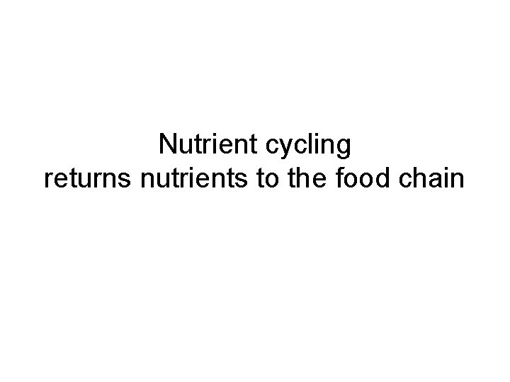 Nutrient cycling returns nutrients to the food chain 