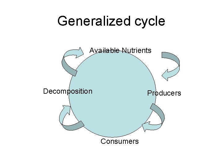 Generalized cycle Available Nutrients Decomposition Producers Consumers 