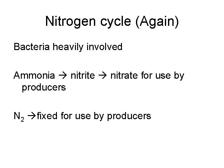Nitrogen cycle (Again) Bacteria heavily involved Ammonia nitrite nitrate for use by producers N