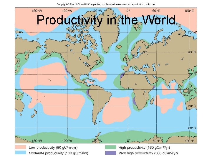 Productivity in the World 