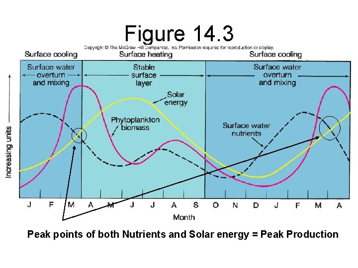 Figure 14. 3 Peak points of both Nutrients and Solar energy = Peak Production