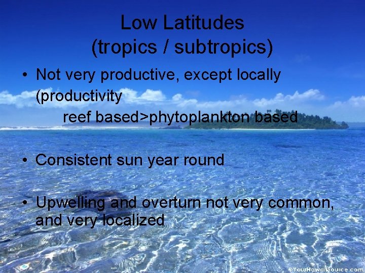 Low Latitudes (tropics / subtropics) • Not very productive, except locally (productivity reef based>phytoplankton