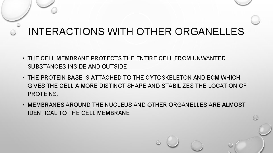 INTERACTIONS WITH OTHER ORGANELLES • THE CELL MEMBRANE PROTECTS THE ENTIRE CELL FROM UNWANTED