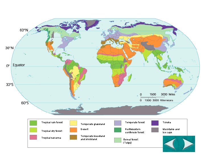 Figure 4 -17 The World’s Major Land Biomes Section 4 -3 Tropical rain forest