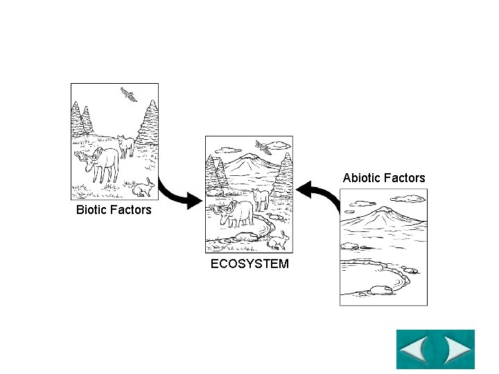 Abiotic and Biotic Factors Section 4 -2 Abiotic Factors Biotic Factors ECOSYSTEM Go to
