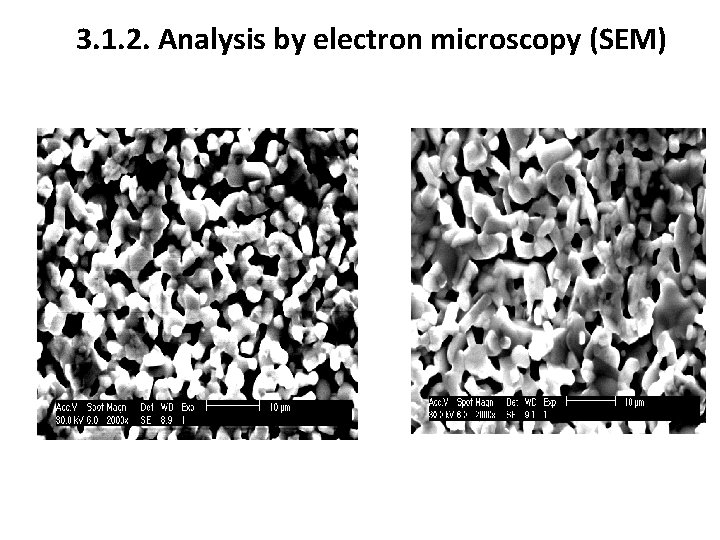 3. 1. 2. Analysis by electron microscopy (SEM) 