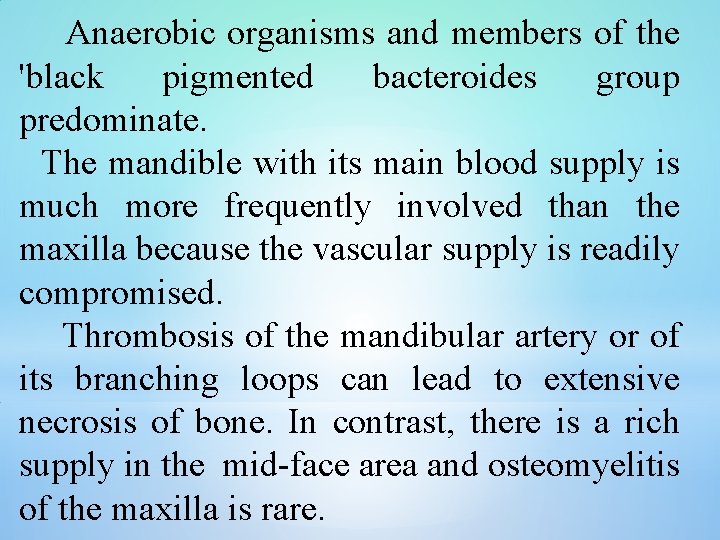 Anaerobic organisms and members of the 'black pigmented bacteroides group predominate. The mandible with