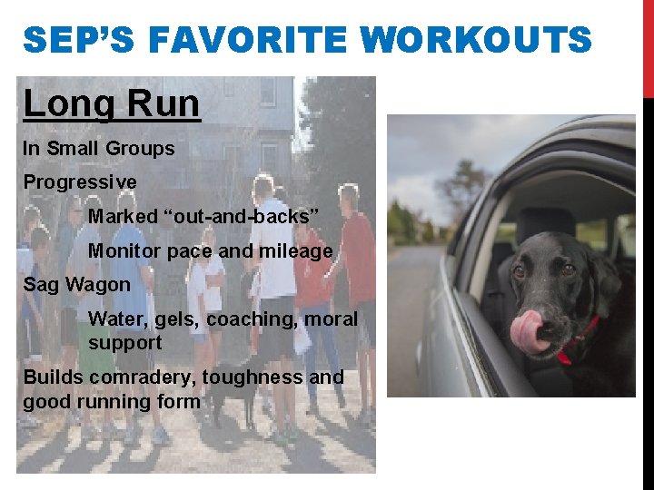 SEP’S FAVORITE WORKOUTS Long Run In Small Groups Progressive Marked “out-and-backs” Monitor pace and