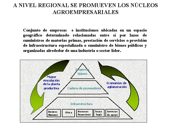 A NIVEL REGIONAL SE PROMUEVEN LOS NÚCLEOS AGROEMPRESARIALES Conjunto de empresas e instituciones ubicadas