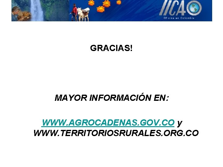 GRACIAS! MAYOR INFORMACIÓN EN: WWW. AGROCADENAS. GOV. CO y WWW. TERRITORIOSRURALES. ORG. CO 