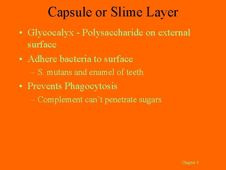 Capsule or Slime Layer • Glycocalyx - Polysaccharide on external surface • Adhere bacteria