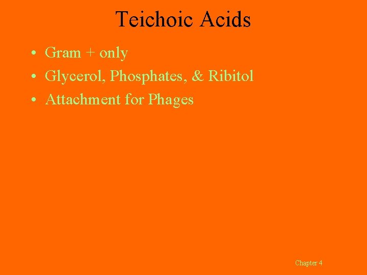 Teichoic Acids • Gram + only • Glycerol, Phosphates, & Ribitol • Attachment for