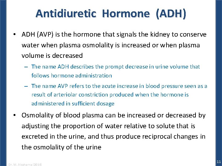 Antidiuretic Hormone (ADH) • ADH (AVP) is the hormone that signals the kidney to