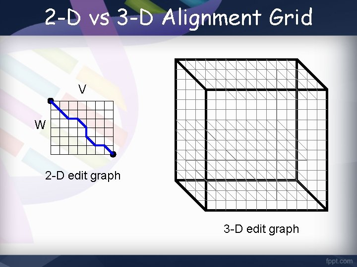 2 -D vs 3 -D Alignment Grid V W 2 -D edit graph 3
