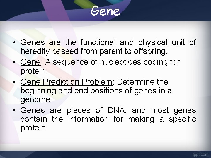 Gene • Genes are the functional and physical unit of heredity passed from parent