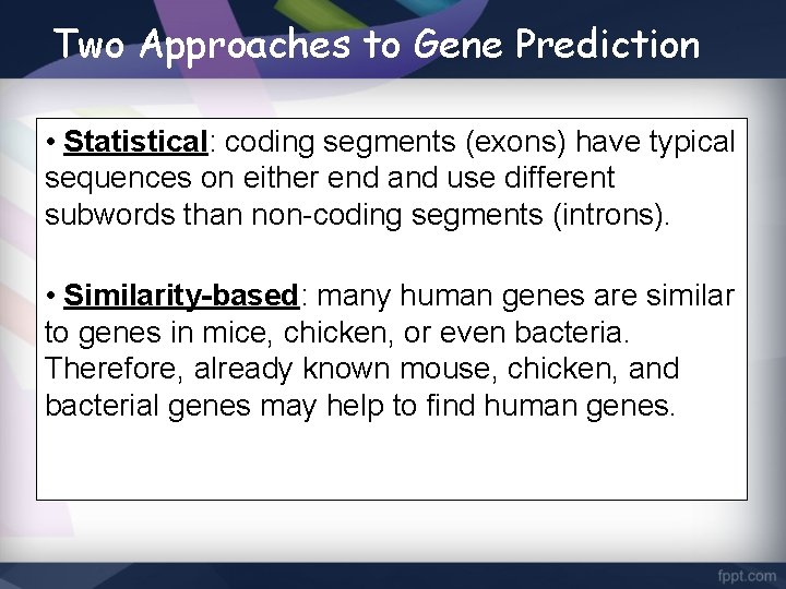 Two Approaches to Gene Prediction • Statistical: coding segments (exons) have typical sequences on