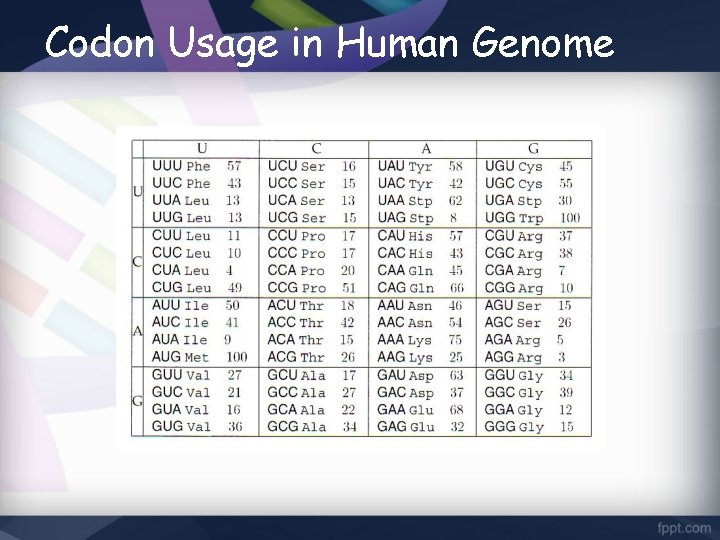 Codon Usage in Human Genome 