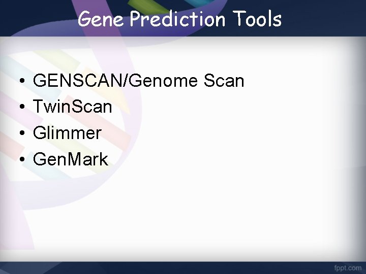 Gene Prediction Tools • • GENSCAN/Genome Scan Twin. Scan Glimmer Gen. Mark 