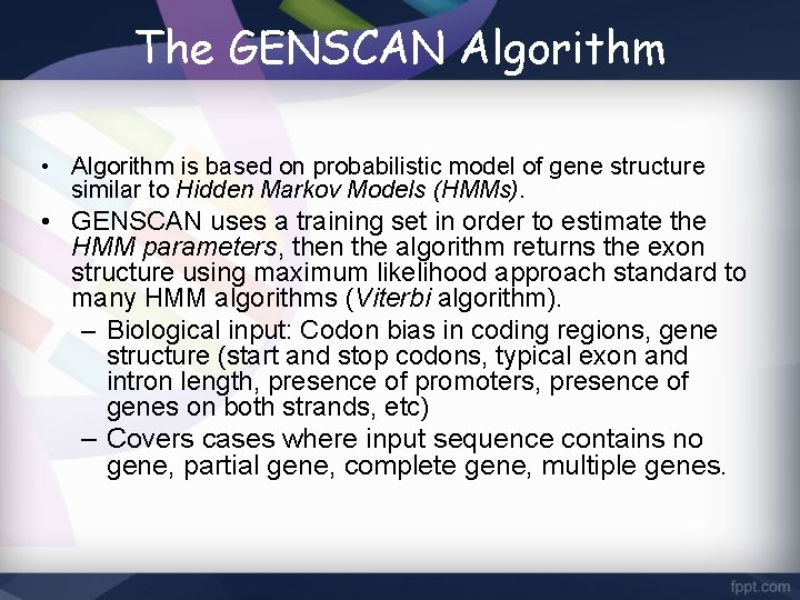 The GENSCAN Algorithm • Algorithm is based on probabilistic model of gene structure similar