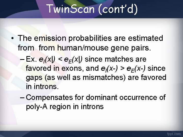 Twin. Scan (cont’d) • The emission probabilities are estimated from human/mouse gene pairs. –