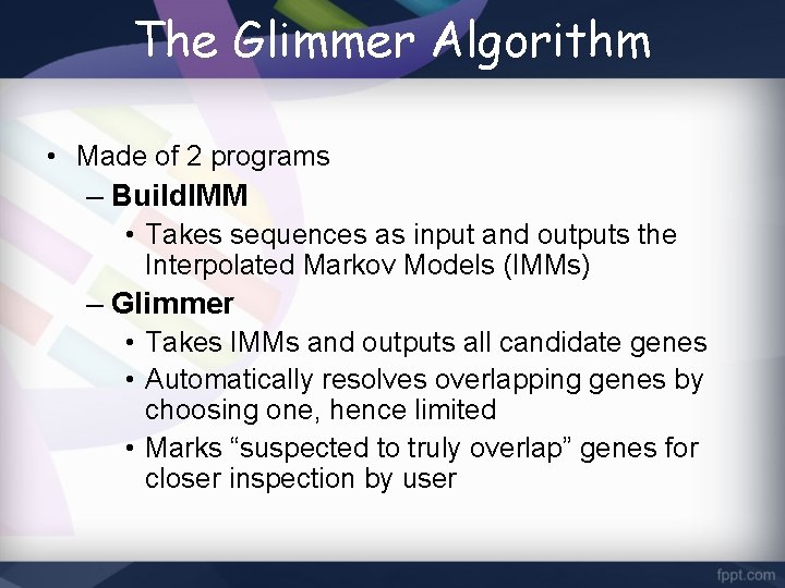 The Glimmer Algorithm • Made of 2 programs – Build. IMM • Takes sequences