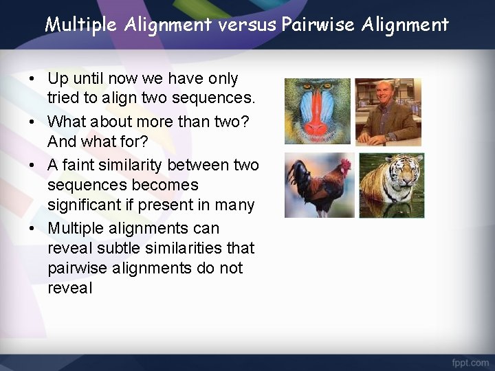 Multiple Alignment versus Pairwise Alignment • Up until now we have only tried to