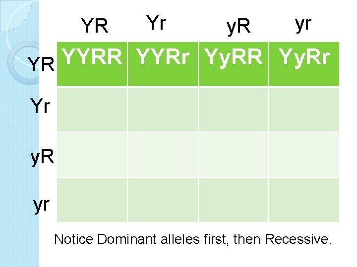 YR Yr y. R yr YYRR YYRr Yy. RR Yy. Rr YR Yr y.