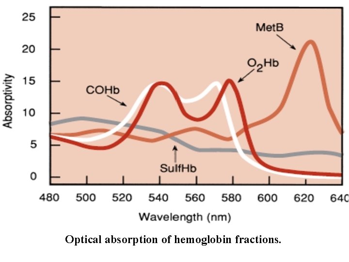 Optical absorption of hemoglobin fractions. 