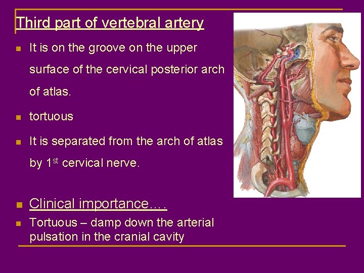 Third part of vertebral artery n It is on the groove on the upper