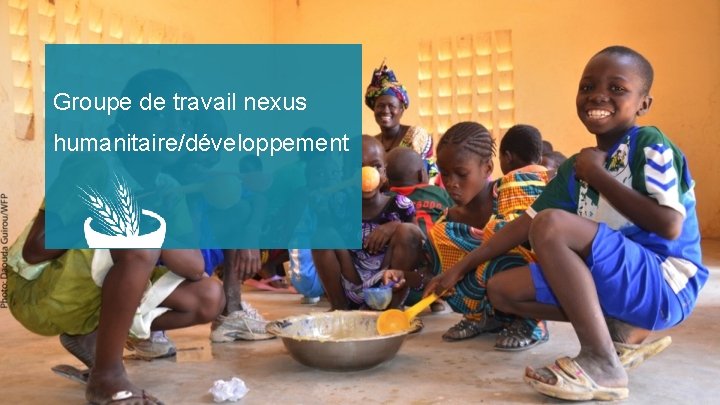 Groupe de travail nexus humanitaire/développement 