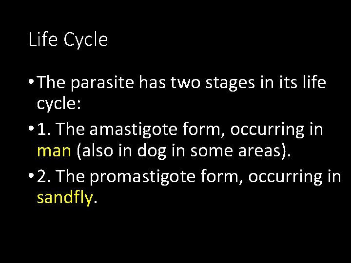 Life Cycle • The parasite has two stages in its life cycle: • 1.