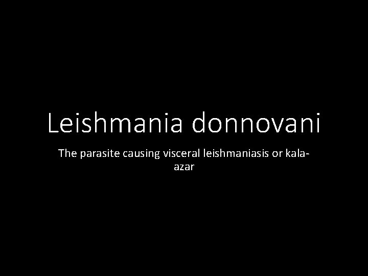 Leishmania donnovani The parasite causing visceral leishmaniasis or kalaazar 