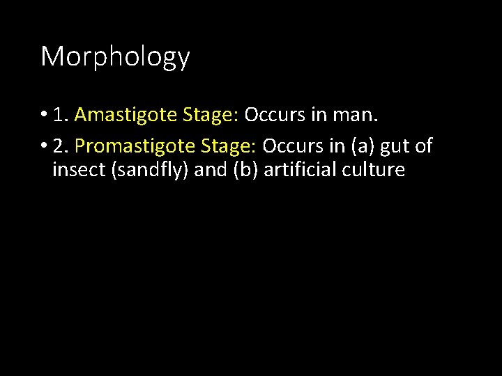 Morphology • 1. Amastigote Stage: Occurs in man. • 2. Promastigote Stage: Occurs in