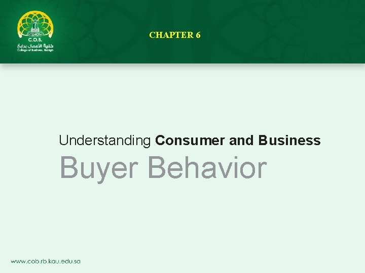 CHAPTER 6 Understanding Consumer and Business Buyer Behavior 