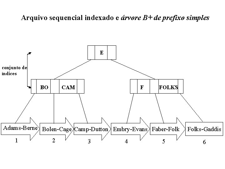 Arquivo sequencial indexado e árvore B+ de prefixo simples E conjunto de índices BO