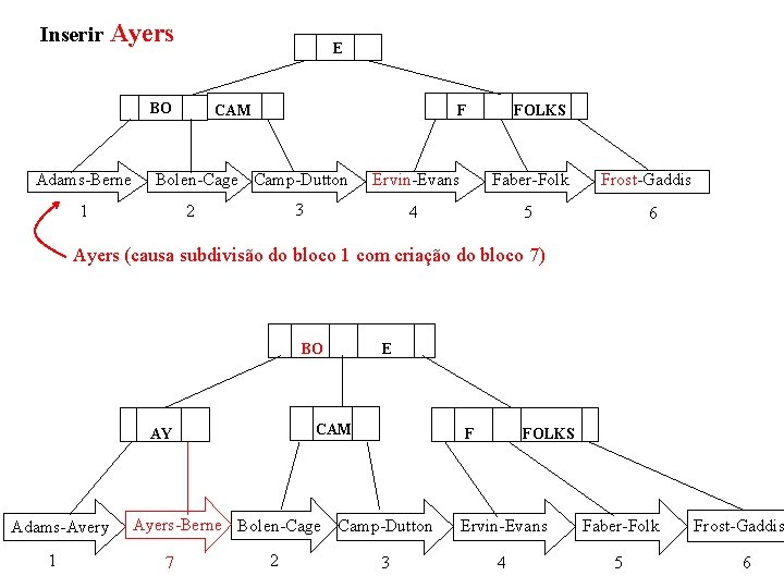 Inserir Ayers E BO Adams-Berne CAM F Bolen-Cage Camp-Dutton 1 Ervin-Evans Faber-Folk 4 5