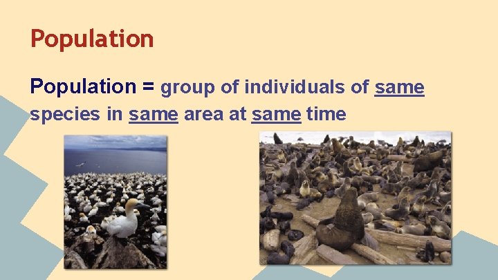 Population = group of individuals of same species in same area at same time