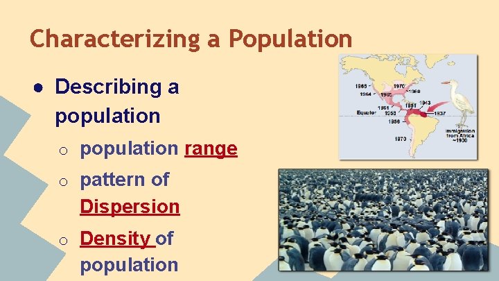 Characterizing a Population ● Describing a population o population range o pattern of Dispersion