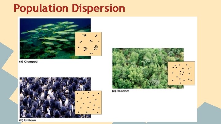 Population Dispersion 