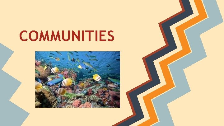 COMMUNITIES 