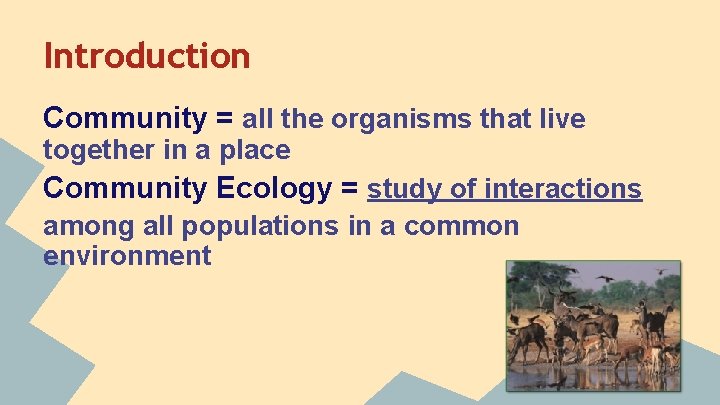 Introduction Community = all the organisms that live together in a place Community Ecology
