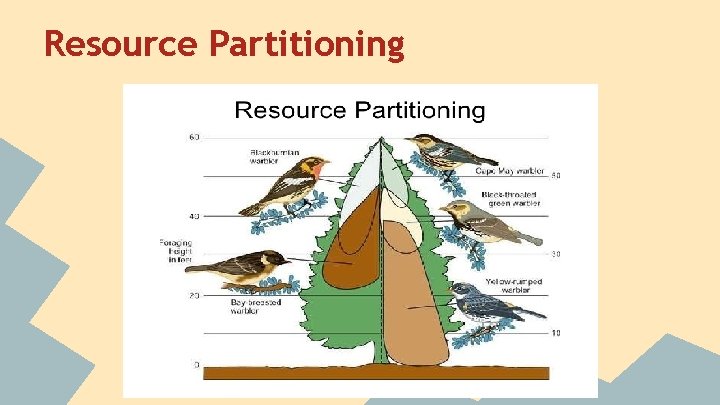 Resource Partitioning 