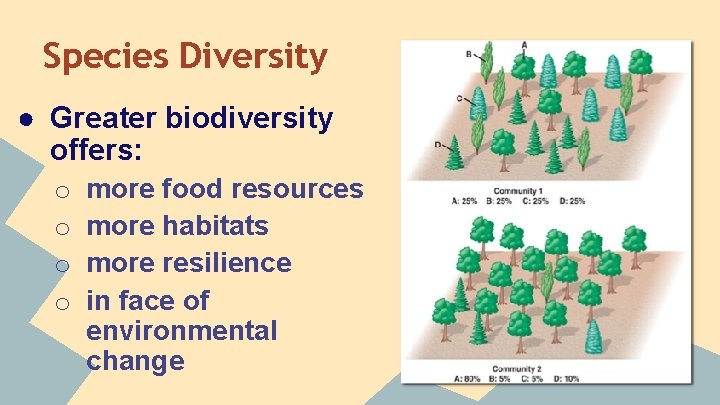 Species Diversity ● Greater biodiversity offers: o o more food resources more habitats more