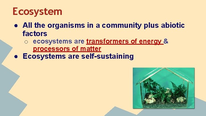 Ecosystem ● All the organisms in a community plus abiotic factors o ecosystems are