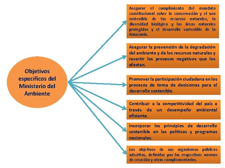 Asegurar el cumplimiento del mandato constitucional sobre la conservación y el uso sostenible de