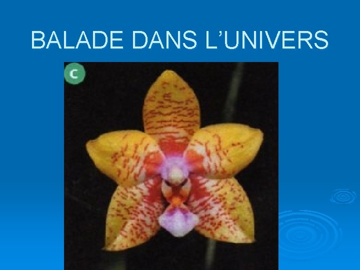 BALADE DANS L’UNIVERS 