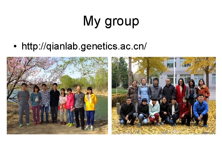 My group • http: //qianlab. genetics. ac. cn/ 