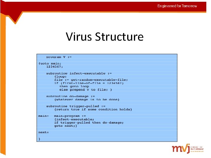 Virus Structure 